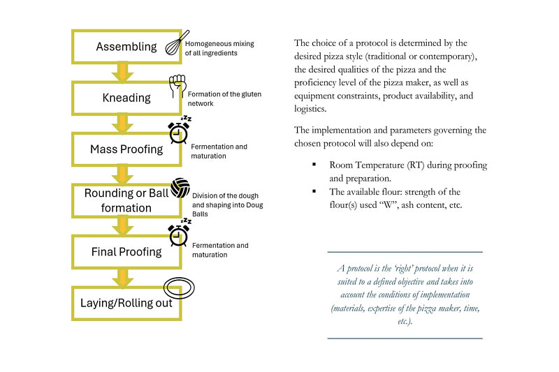 Detailed steps and concepts of pizza making explained in Mastering Neapolitan Pizza and Beyond