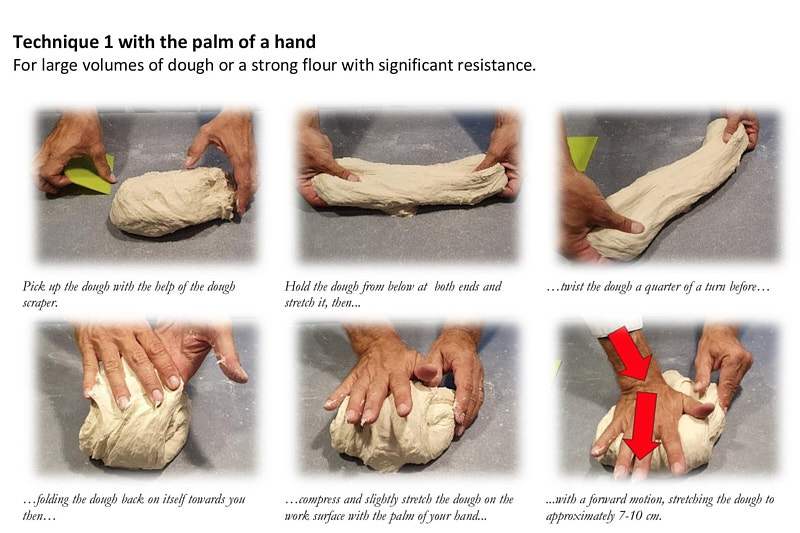 Illustrated dough handling and pizza shaping techniques from the book Mastering Neapolitan Pizza and Beyond